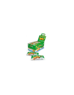 Galletas choco-avellana rellena bio 16x60g Belsi